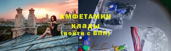 индика Покачи