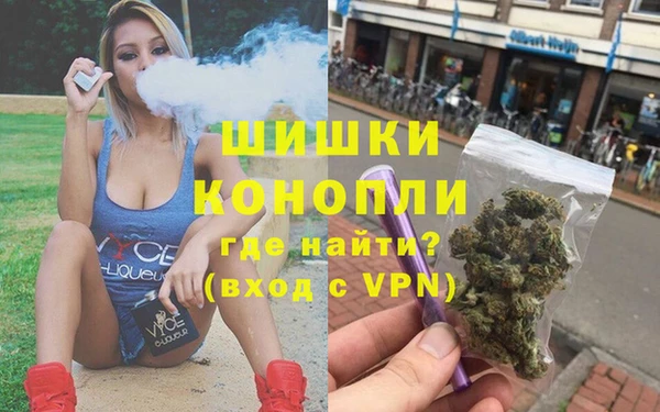 индика Покачи